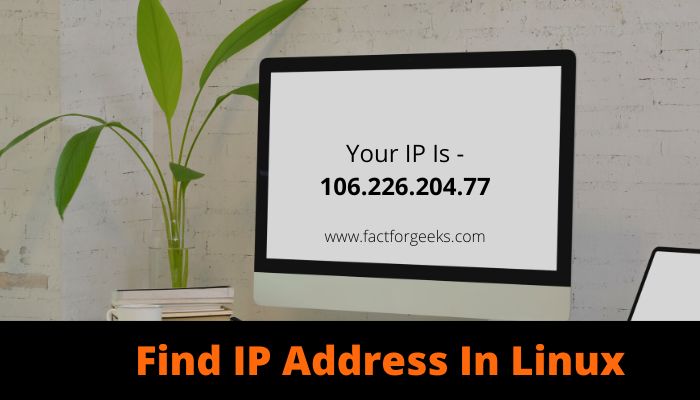 Linux Find IP Address